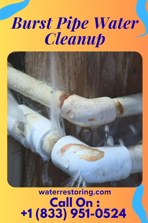 Burst Pipe Water Cleanup in Jansen, NE