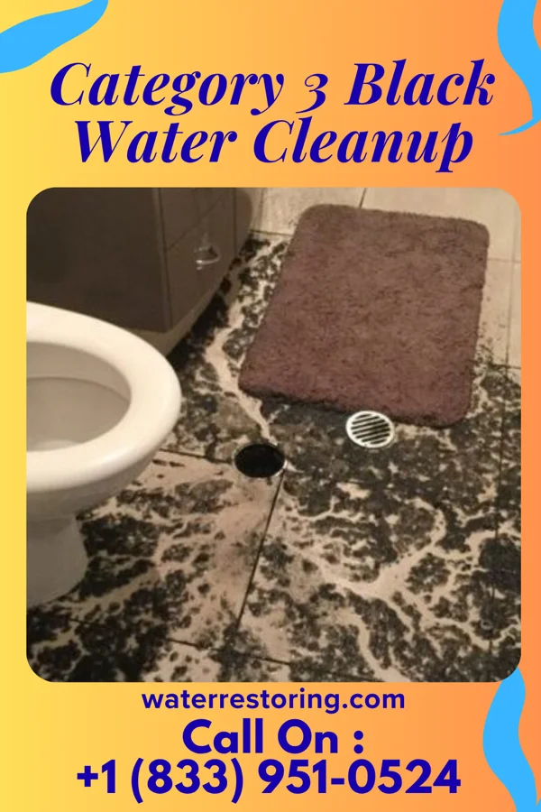 Category 3 Black Water Cleanup in Jansen, NE
